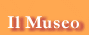 MuseoTest.gif (2028 byte)